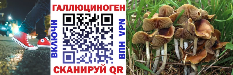 Псилоцибиновые грибы мицелий  купить  цена  Чапаевск 