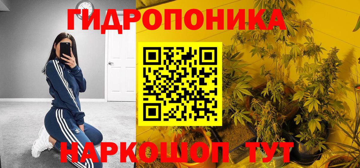 Шишки марихуана планчик Чапаевск